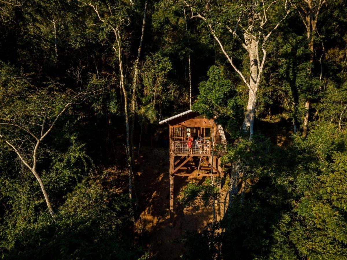 Pumarinri Amazon Lodge Tarapoto Exteriér fotografie