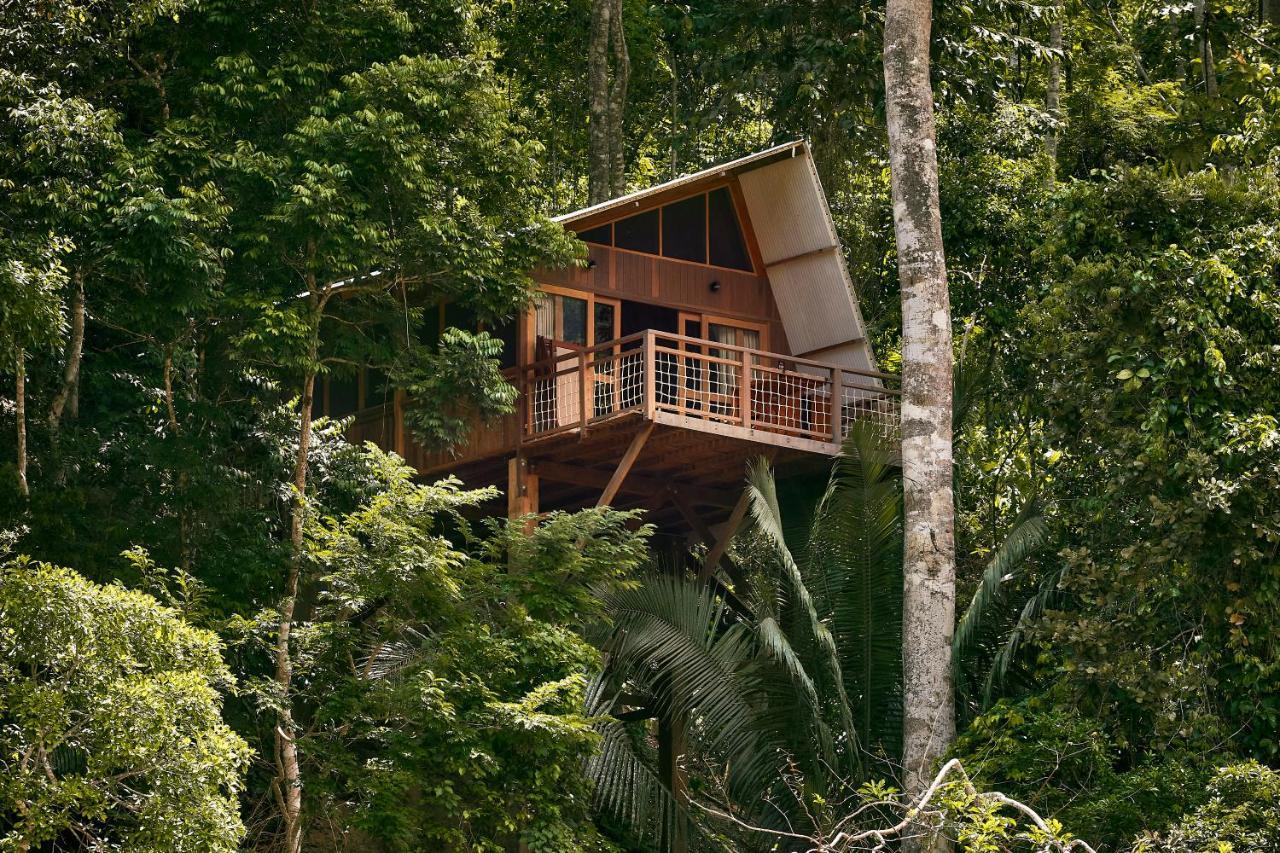 Pumarinri Amazon Lodge Tarapoto Exteriér fotografie