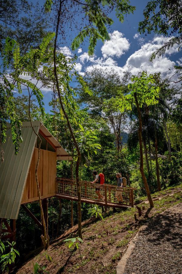 Pumarinri Amazon Lodge Tarapoto Exteriér fotografie