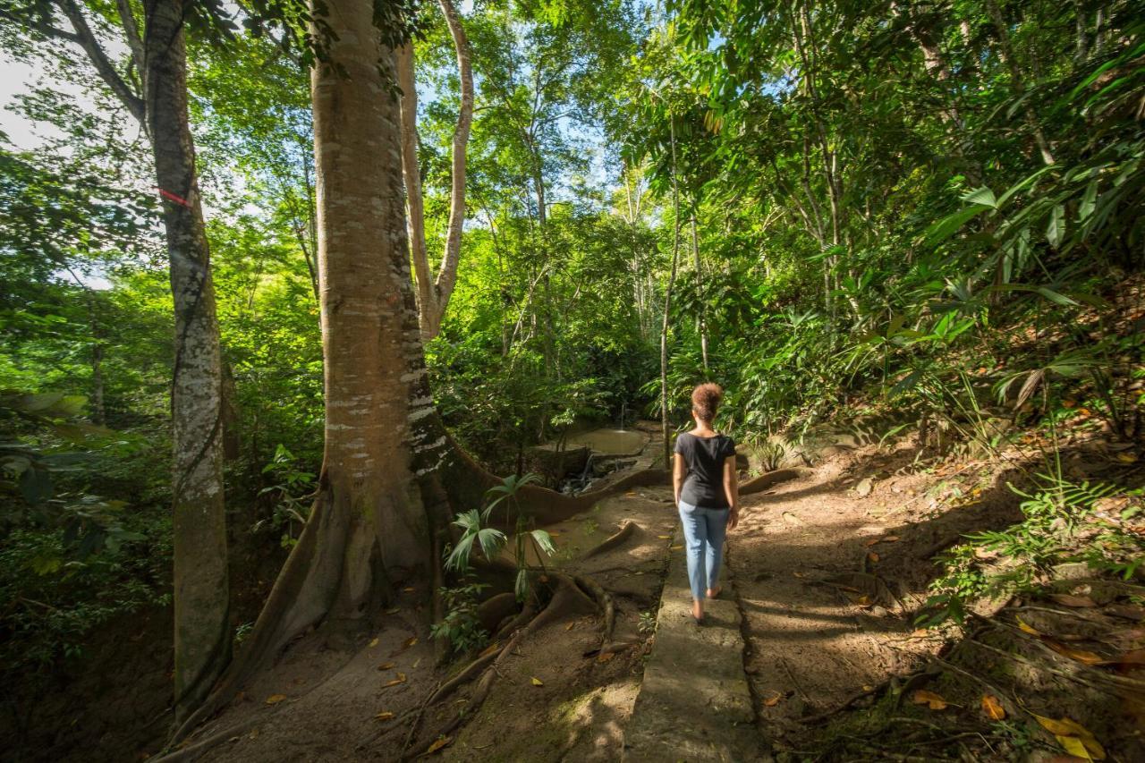 Pumarinri Amazon Lodge Tarapoto Exteriér fotografie