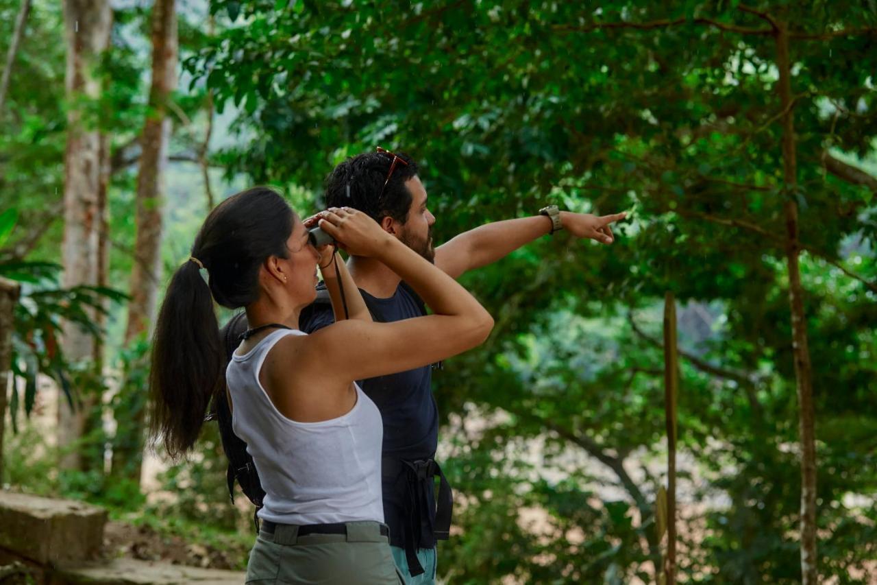 Pumarinri Amazon Lodge Tarapoto Exteriér fotografie