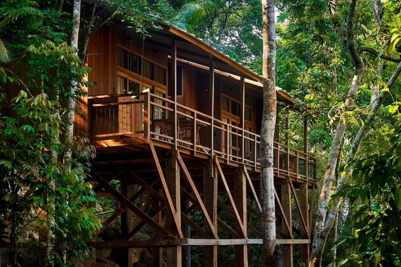 Pumarinri Amazon Lodge Tarapoto Exteriér fotografie
