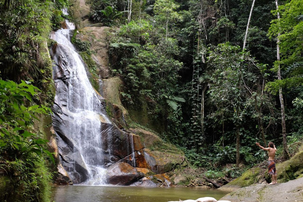 Pumarinri Amazon Lodge Tarapoto Exteriér fotografie